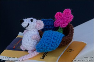 En lille mus til en god veninde :)